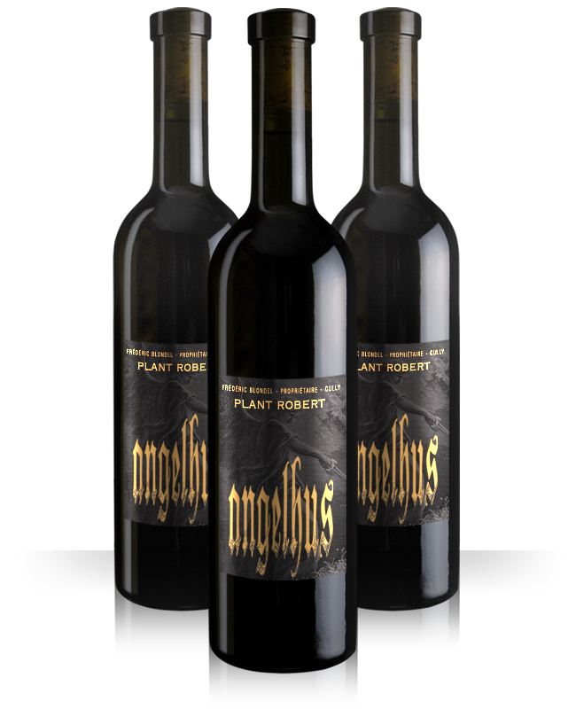 Trio de bouteilles de Plant Robert AOC